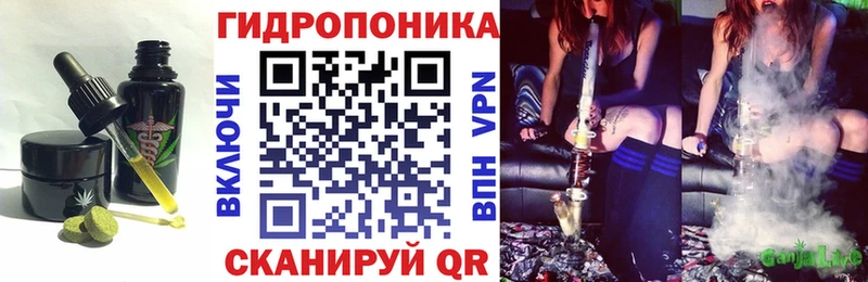 закладки  omg зеркало  Cannafood марихуана  Ачинск 