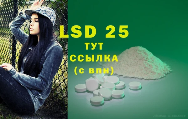 крисы Михайловск