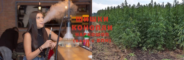 дурь Алзамай