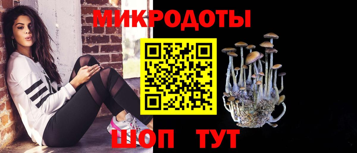 Галлюциногенные грибы Psilocybe  где можно купить   Ачинск  Вход с VPN 